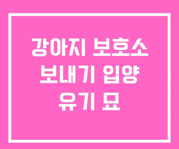 강아지 보호소 보내기 입양 유기 묘 강아지 보호소 보내기 입양 유기 묘
