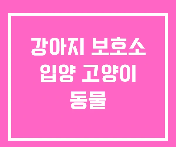 강아지 보호소 입양 고양이 동물