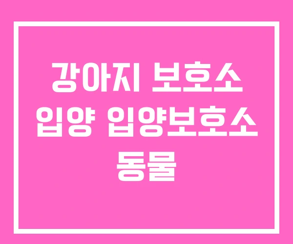 강아지 보호소 입양 입양보호소 동물 강아지 보호소 입양 입양보호소 동물