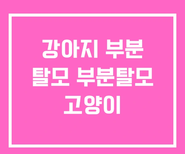 강아지 부분 탈모 부분탈모 고양이 강아지 부분 탈모 부분탈모 고양이