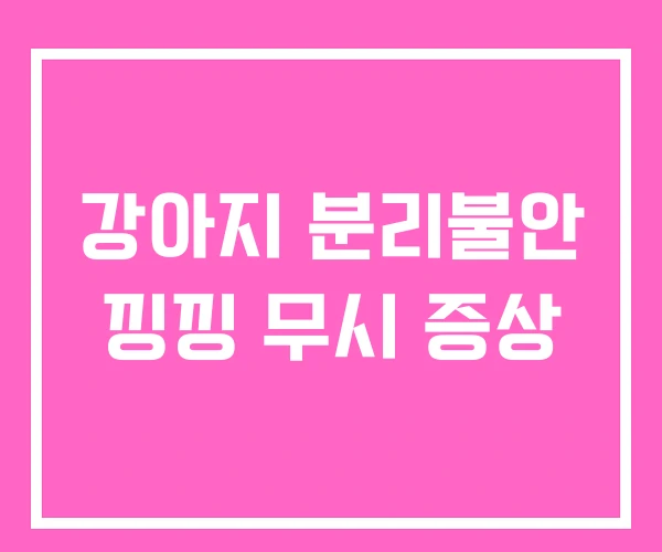 강아지 분리불안 낑낑 무시 증상 강아지 분리불안 낑낑 무시 증상