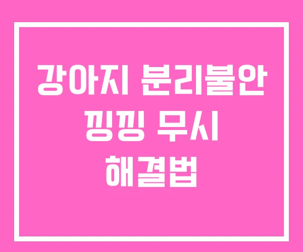 강아지 분리불안 낑낑 무시 해결법 강아지 분리불안 낑낑 무시 해결법