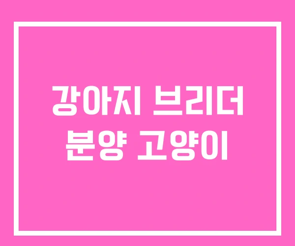 강아지 브리더 분양 고양이