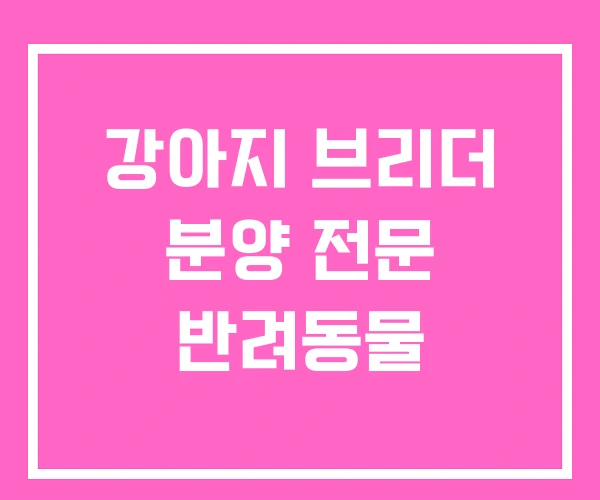 강아지 브리더 분양 전문 반려동물 강아지 브리더 분양 전문 반려동물