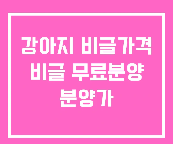 강아지 비글가격 비글 무료분양 분양가 강아지 비글가격 비글 무료분양 분양가