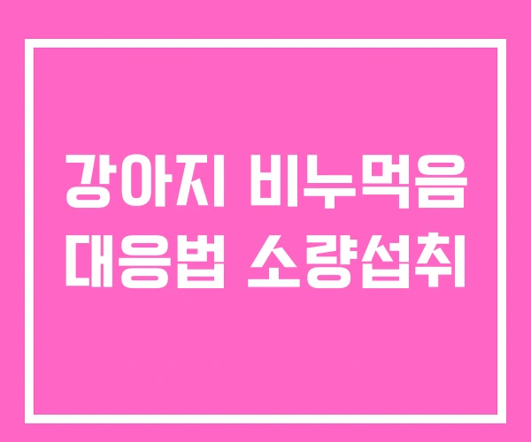 강아지 비누먹음 대응법 소량섭취 강아지 비누먹음 대응법 소량섭취