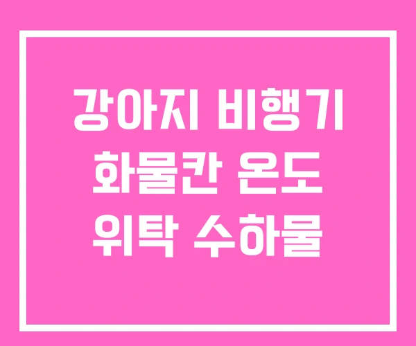 강아지 비행기 화물칸 온도 위탁 수하물