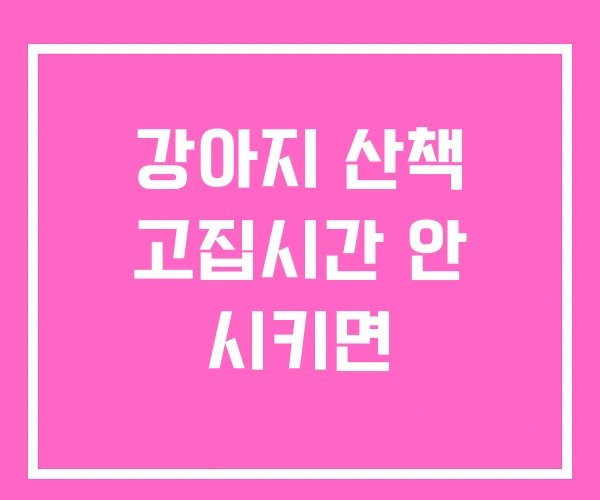 강아지 산책 고집시간 안 시키면 강아지 산책 고집시간 안 시키면