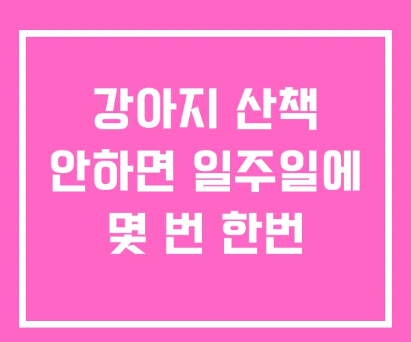 강아지 산책 안하면 일주일에 몇 번 한번