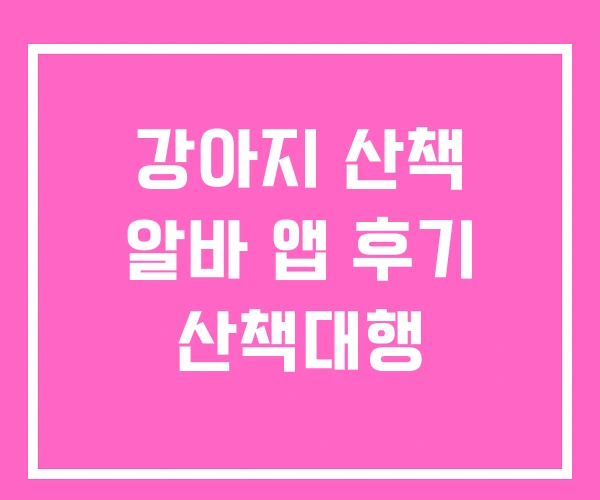 강아지 산책 알바 앱 후기 산책대행