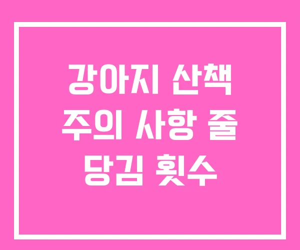강아지 산책 주의 사항 줄 당김 횟수 강아지 산책 주의 사항 줄 당김 횟수