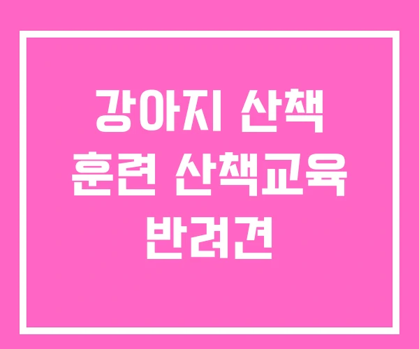 강아지 산책 훈련 산책교육 반려견 강아지 산책 훈련 산책교육 반려견