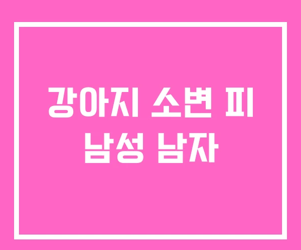 강아지 소변 피 남성 남자 강아지 소변 피 남성 남자