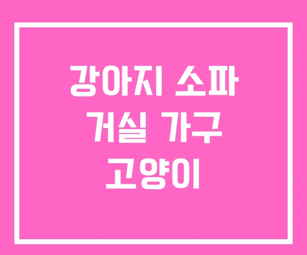 강아지 소파 거실 가구 고양이 강아지 소파 거실 가구 고양이