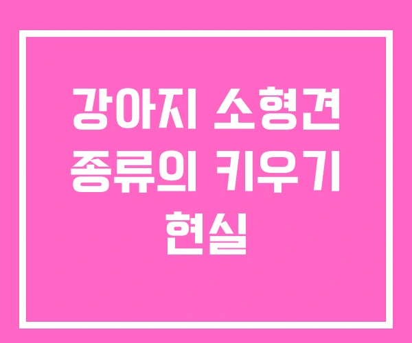강아지 소형견 종류의 키우기 현실 강아지 소형견 종류의 키우기 현실