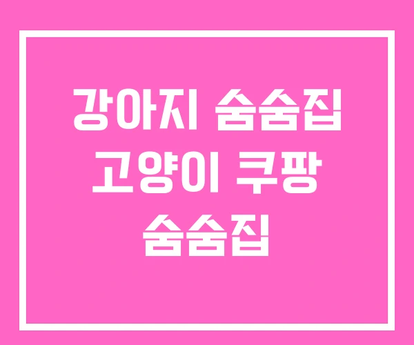 강아지 숨숨집 고양이 쿠팡 숨숨집