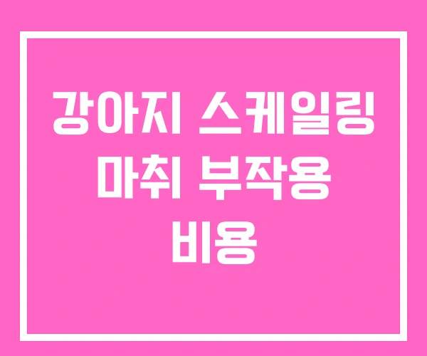 강아지 스케일링 마취 부작용 비용