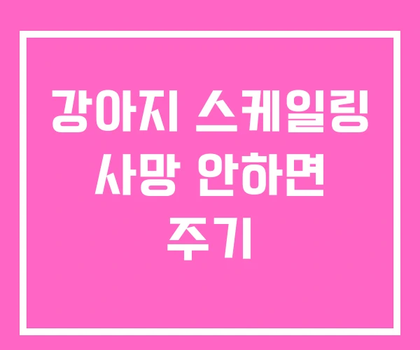 강아지 스케일링 사망 안하면 주기