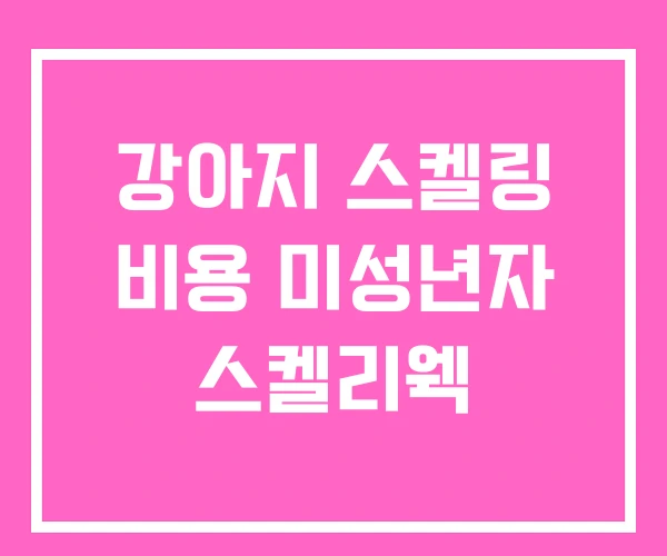 강아지 스켈링 비용 미성년자 스켈리웩