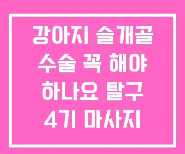 강아지 슬개골 수술 꼭 해야 하나요 탈구 4기 마사지