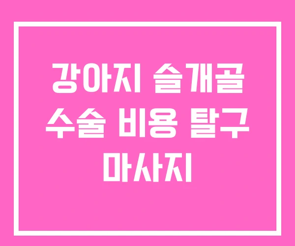 강아지 슬개골 수술 비용 탈구 마사지