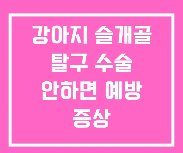 강아지 슬개골 탈구 수술 안하면 예방 증상