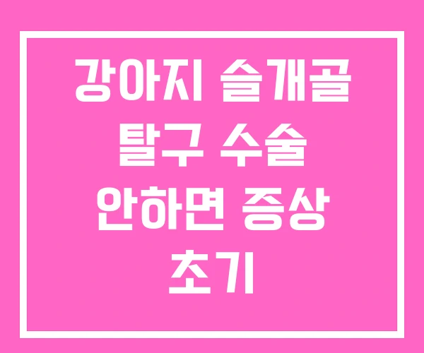 강아지 슬개골 탈구 수술 안하면 증상 초기