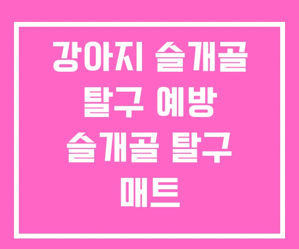 강아지 슬개골 탈구 예방 슬개골 탈구 매트