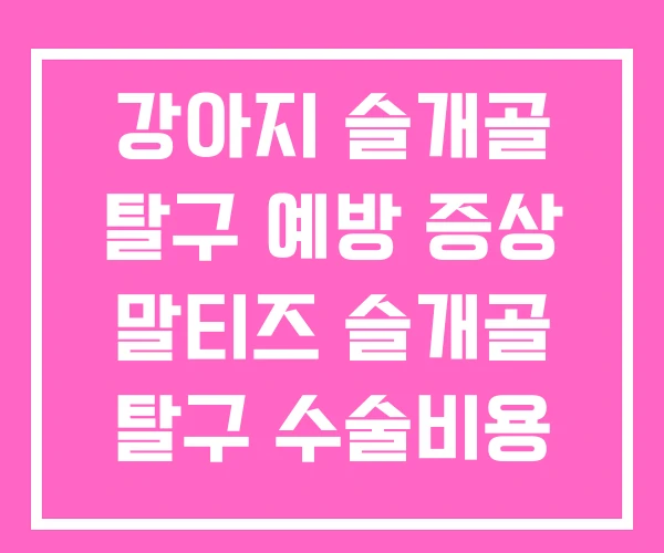 강아지 슬개골 탈구 예방 증상 말티즈 슬개골 탈구 수술비용