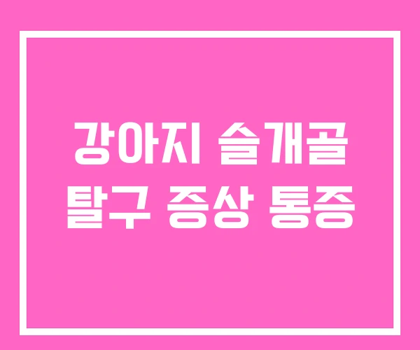 강아지 슬개골 탈구 증상 통증