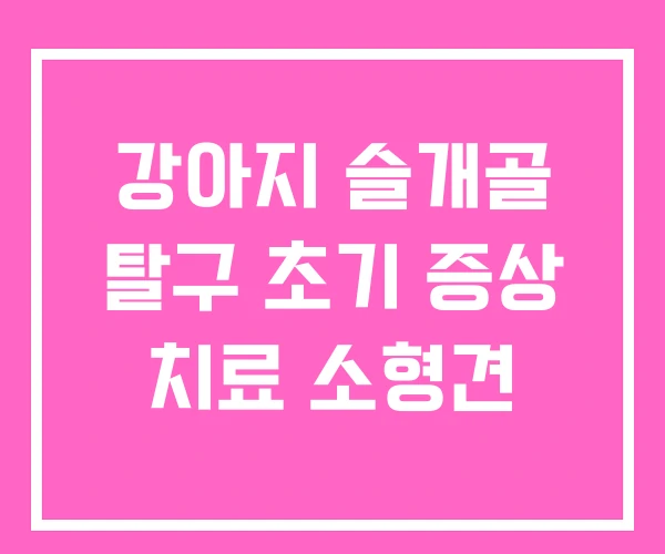 강아지 슬개골 탈구 초기 증상 치료 소형견