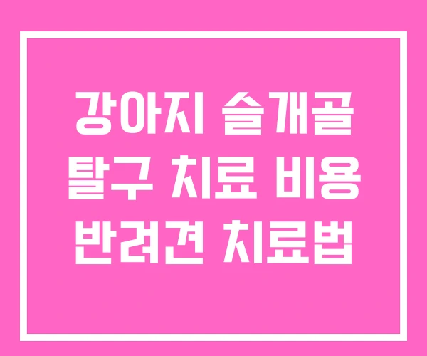 강아지 슬개골 탈구 치료 비용 반려견 치료법