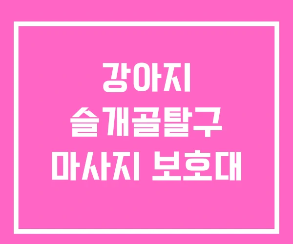 강아지 슬개골탈구 마사지 보호대