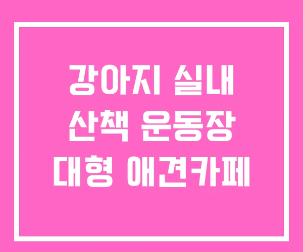 강아지 실내 산책 운동장 대형 애견카페