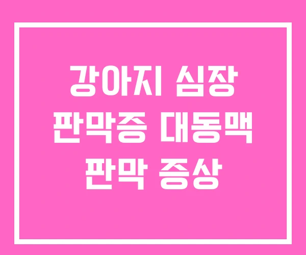 강아지 심장 판막증 대동맥 판막 증상