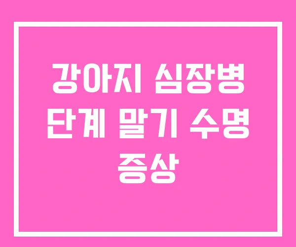 강아지 심장병 단계 말기 수명 증상