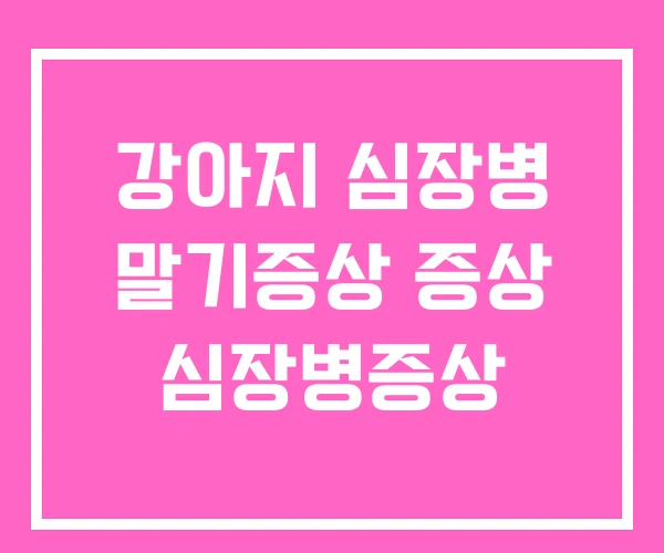 강아지 심장병 말기증상 증상 심장병증상