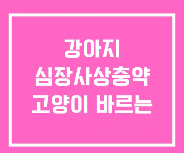 강아지 심장사상충약 고양이 바르는 강아지 심장사상충약 고양이 바르는