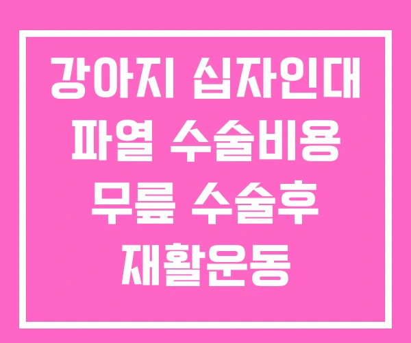 강아지 십자인대 파열 수술비용 무릎 수술후 재활운동