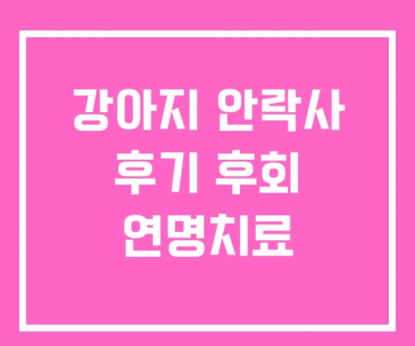 강아지 안락사 후기 후회 연명치료