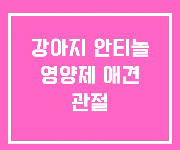 강아지 안티놀 영양제 애견 관절