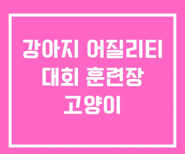 강아지 어질리티 대회 훈련장 고양이