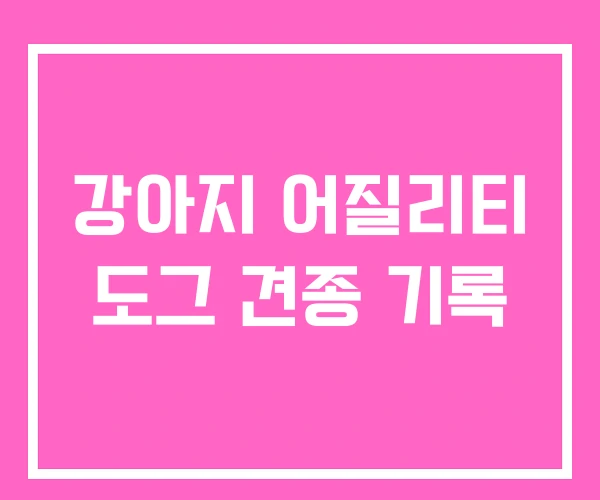 강아지 어질리티 도그 견종 기록