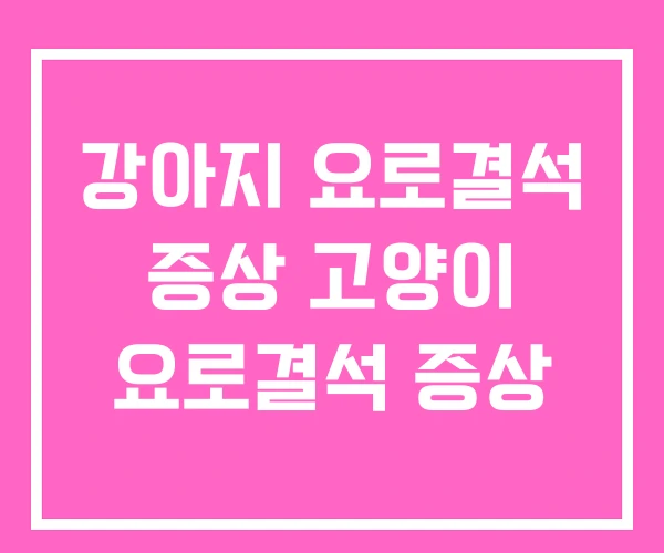 강아지 요로결석 증상 고양이 요로결석 증상