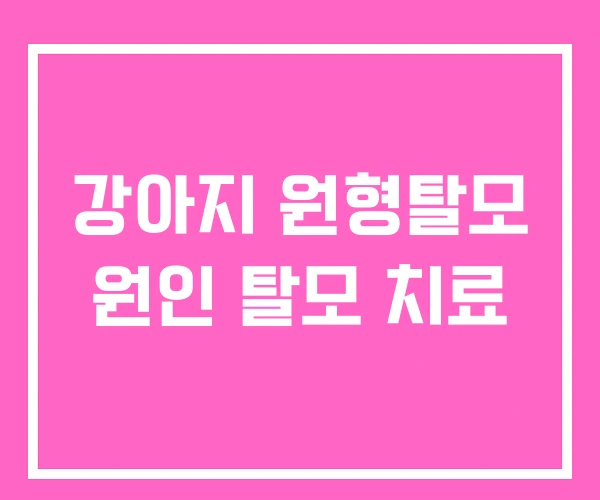 강아지 원형탈모 원인 탈모 치료
