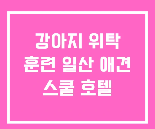 강아지 위탁 훈련 일산 애견 스쿨 호텔