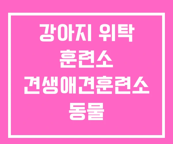 강아지 위탁 훈련소 견생애견훈련소 동물