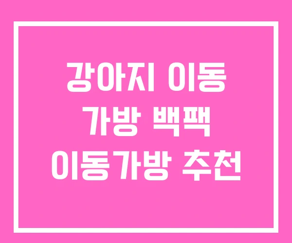 강아지 이동 가방 백팩 이동가방 추천