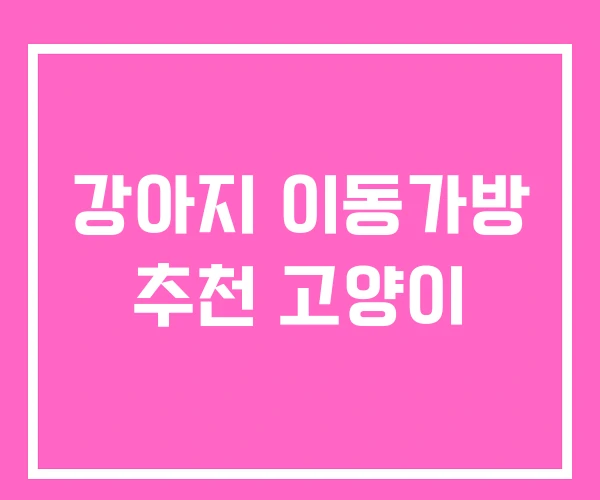 강아지 이동가방 추천 고양이 강아지 이동가방 추천 고양이