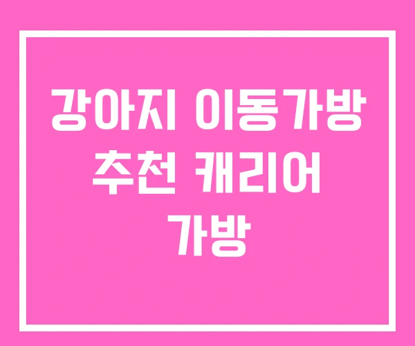 강아지 이동가방 추천 캐리어 가방